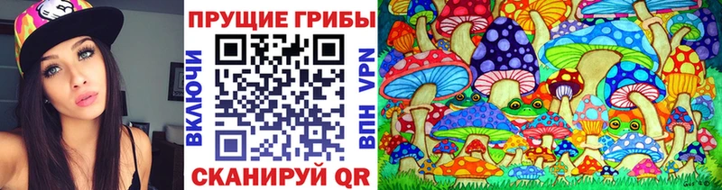 Псилоцибиновые грибы Psilocybine cubensis  закладки  Кирово-Чепецк 